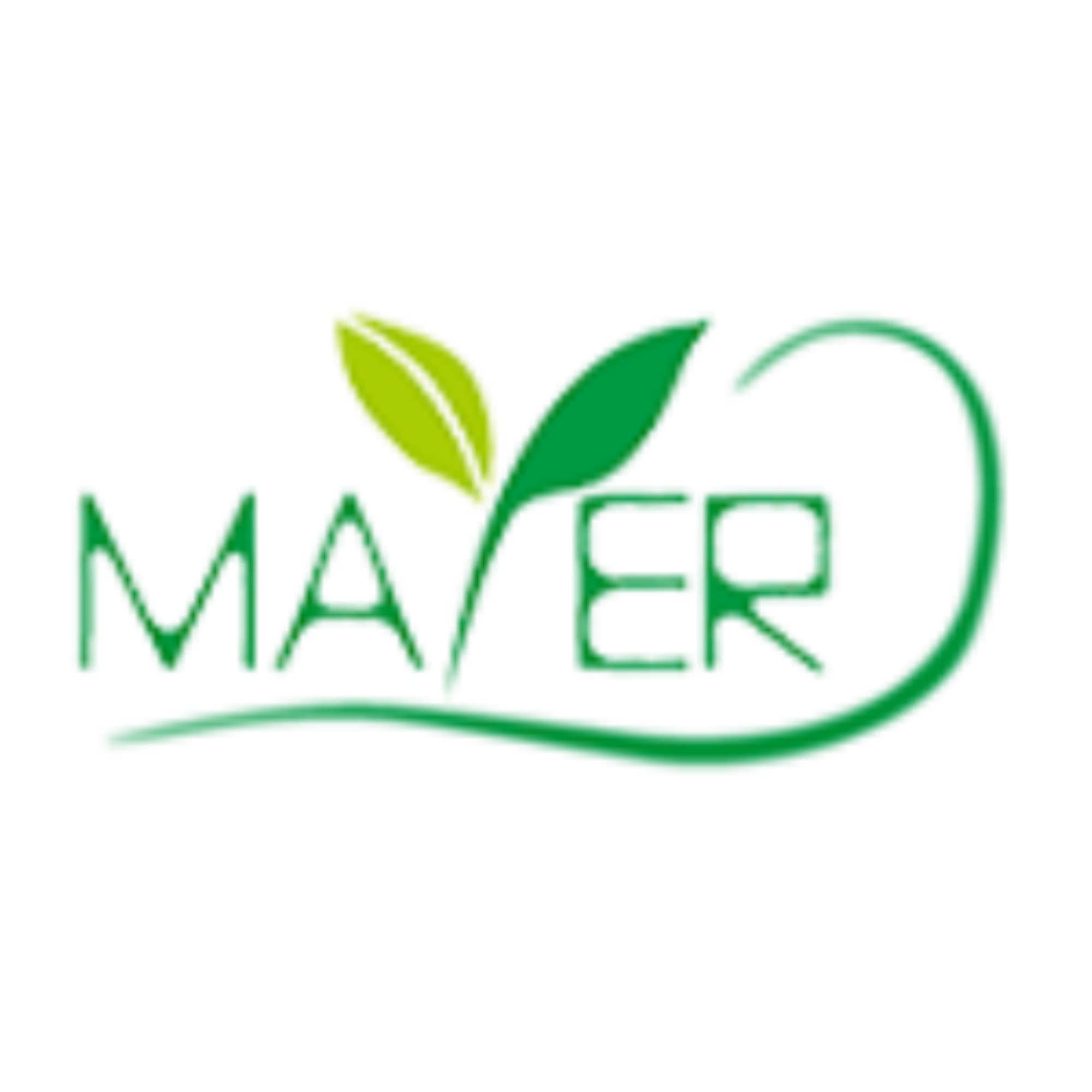 Logo Haining MAYER Decorative Materials Co., Ltd.