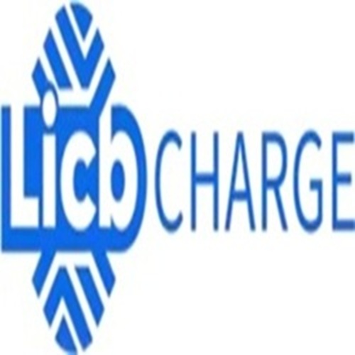 Logo China LiCB AC DC EV Charger Co., Ltd