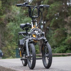 H-12-3R Perfect Foldable Electric Tricycle With 2 Seats For Adults 3 Wheels 