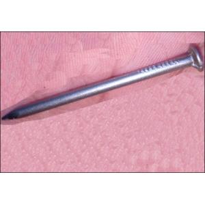 Common Nails-Common Flat Head Nails