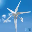 600W Wind Turbine