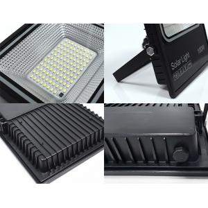 ABS Plastic Solar Led Flood Light(SFL-PJ&PF)