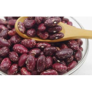 Purple Speckled Kidney Beans