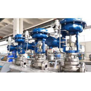 Globe Type Control Valves