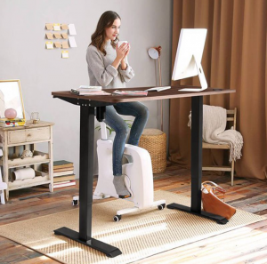 Dual Motor Standing Desk      