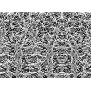 EXPANDED PTFE MEMBRANEWhat is an Expanded PTFE Membrane?