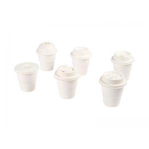 Disposable Compostable Biodegradable Branded Cardboard Solo 