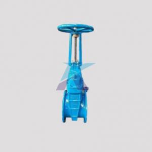 Ductile Iron Flanged Flexible Seat Rising-Stem Gate Valve, P