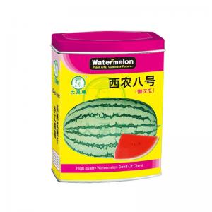 Medium mature large fruit watermelon   Seedless Watermelon