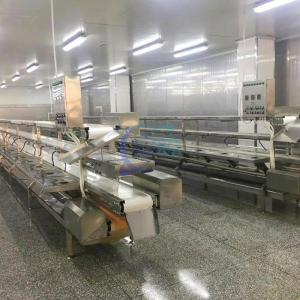 Fish Processing Line    Commercial Fish Scaler Machine     