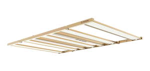 S1200 Golden Grow Lights