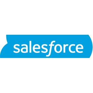 Salesforce Offshore Support Services Providers