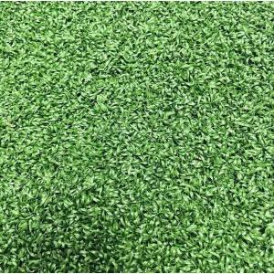 20-50mm Comfortable Safe Realistic Artificial Landscape Gras