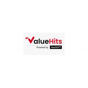 ValueHits: Providing Professional SEO Services For Business