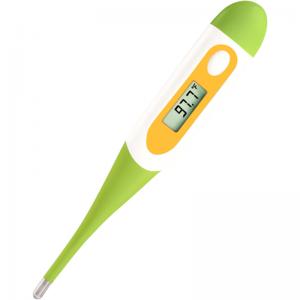 Digital Thermometer