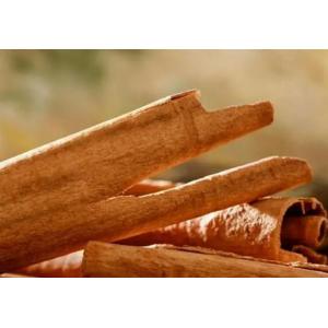 Cinnamon Bark Extract