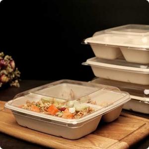 BIODEGRADABLE FOOD PACKAGING