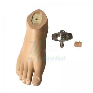 Waterproof and Non-Slip Sach Foot With Plastic Core and Adap