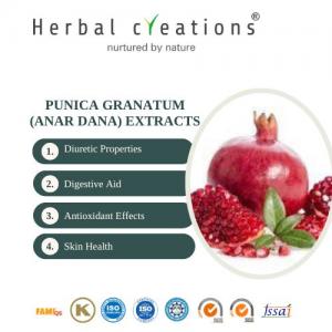 Punica Granatum Extracts Supplier & Manufacturer