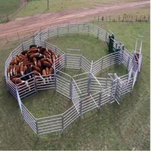 Cattle Fence & Sheep Fence