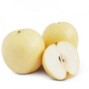 Huangguan Pear/Century Pear