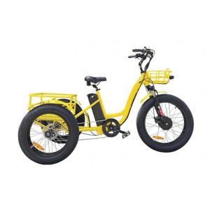 Electric Cargo Trike