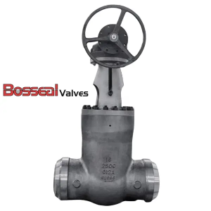 Class 2500 LB Pressure Seal Gate Valve