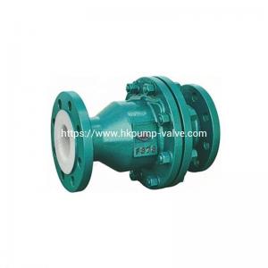 Swing Check Valve