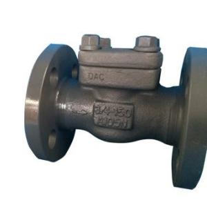 API 602 Integral Flange Swing Check Valve