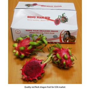 Song Nam Red flesh dragon fruit in VIET NAM