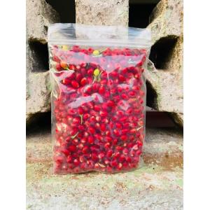whatsapp : +18162871409 buy coca seeds|coca plant|coca leave