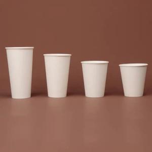 Paper Cups in Disposable