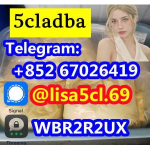 strongest cannabis 5cladba powder 5cl-adb-a jwh-018 lowest