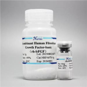 Recombinant Human Fibroblast Growth Factor-basic