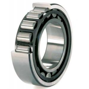 Rolling Mill Bearing 313823 C4