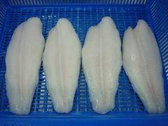 Pangasius fillet