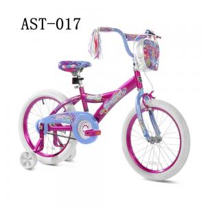 18-Inch Wheels Girl's BikeAST-017