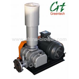 roots vacuum pump