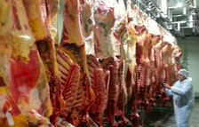 New Zealand Beef - Frozen or Chilled