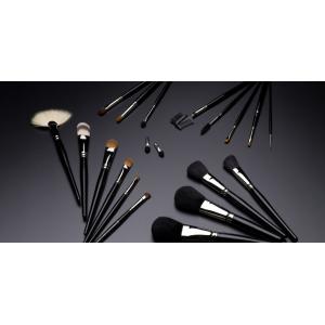 Cosmetic brush