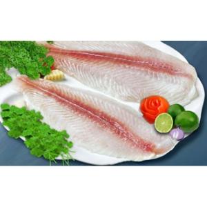 frozen pangasius fillet semi trimmed