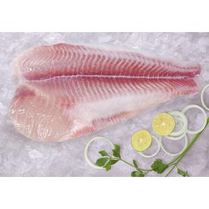 frozen pangasius fillet well trimmed