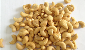 Vietnamese Cashew Nuts Kernels SW320