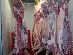 Frozen Pork meat (hygienic & good price)