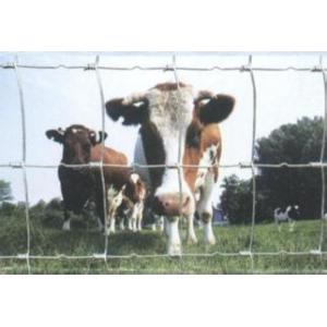 Agricultural Wire Fencing 