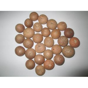 Whole Betel Nut High Quality (Vietnam)