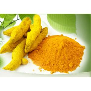 curcumin 95