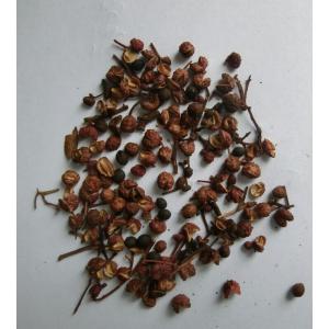 Szechuan pepper