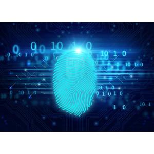 Miaxis Fingerprint algorithm