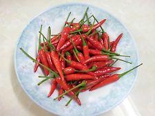 FRESH LONG CHILLI